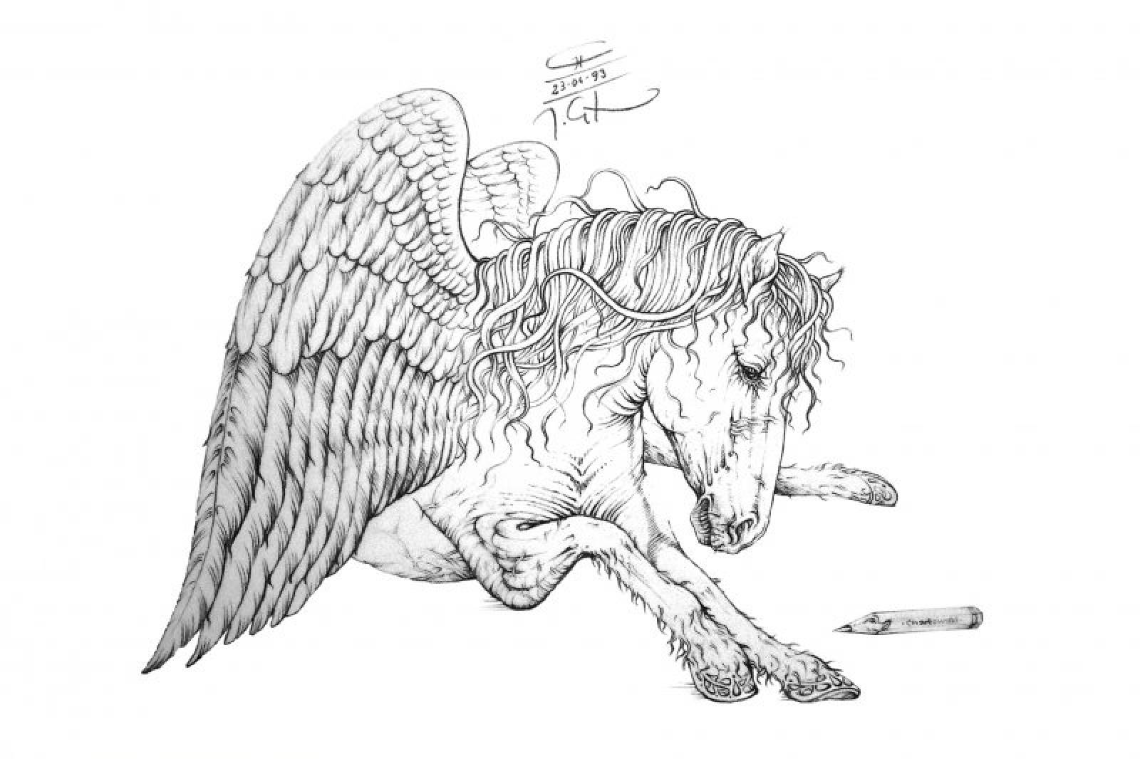 pegasus_1.jpg