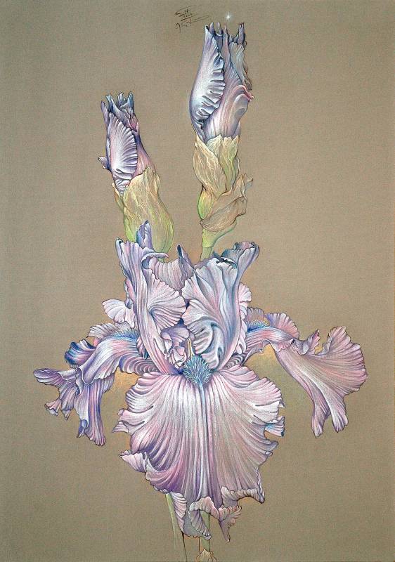 5. SINFONIE VON BEETHOVEN - Org. Zeichn. - Buntstift, 100x70 cm, 2004